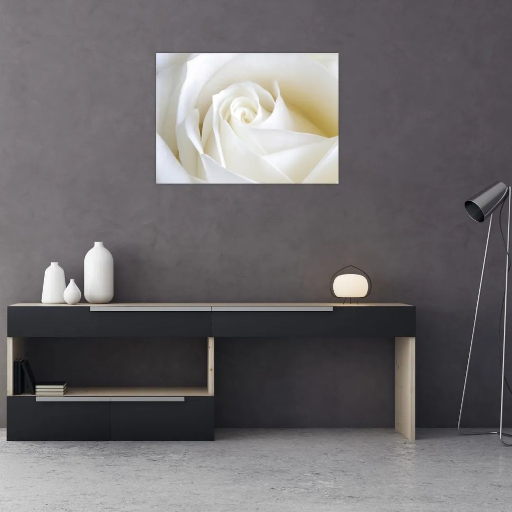 Tablou pe sticlă cu tandafir alb (70x50 cm)