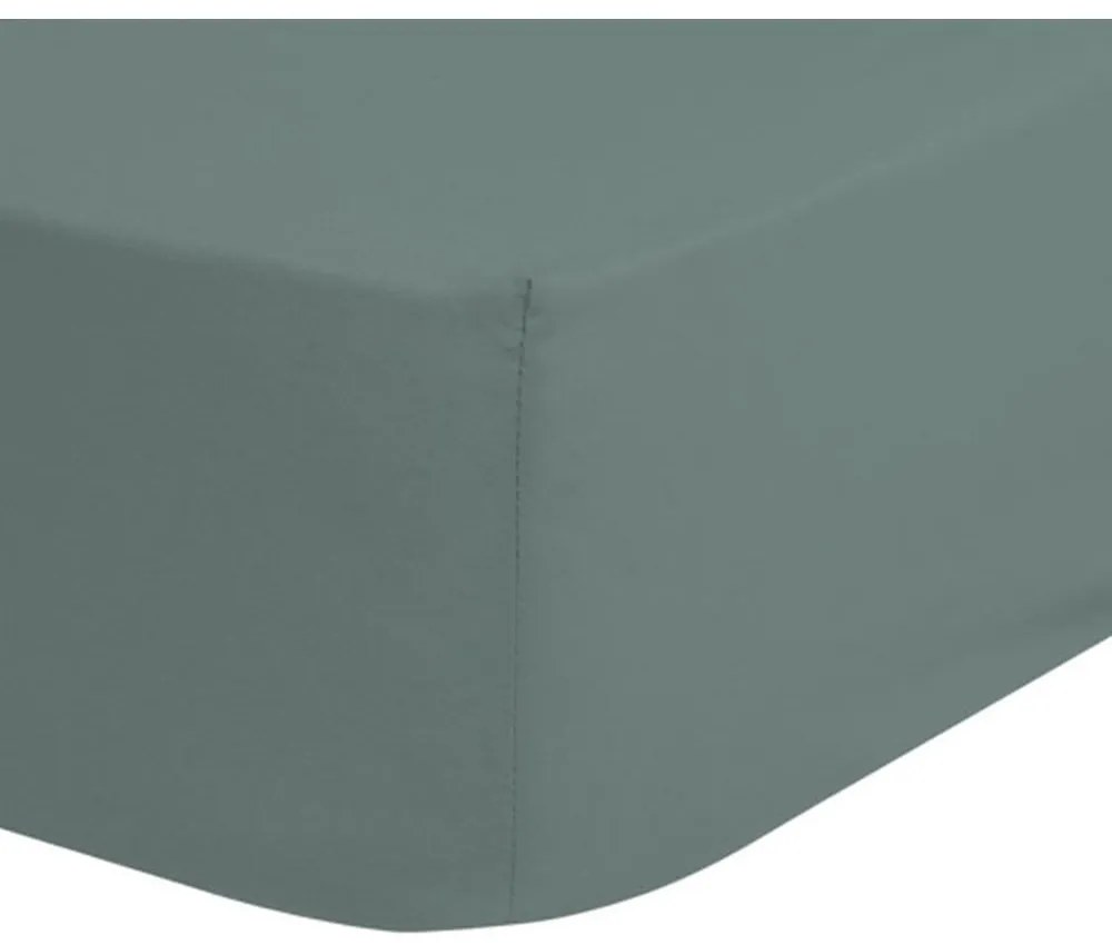 Cearșaf elastic din bumbac pentru copii Good Morning, 70 x 140/150 cm, verde