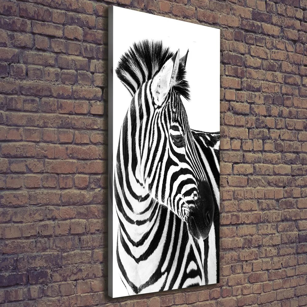 Pictură pe pânză Zebra în zăpadă