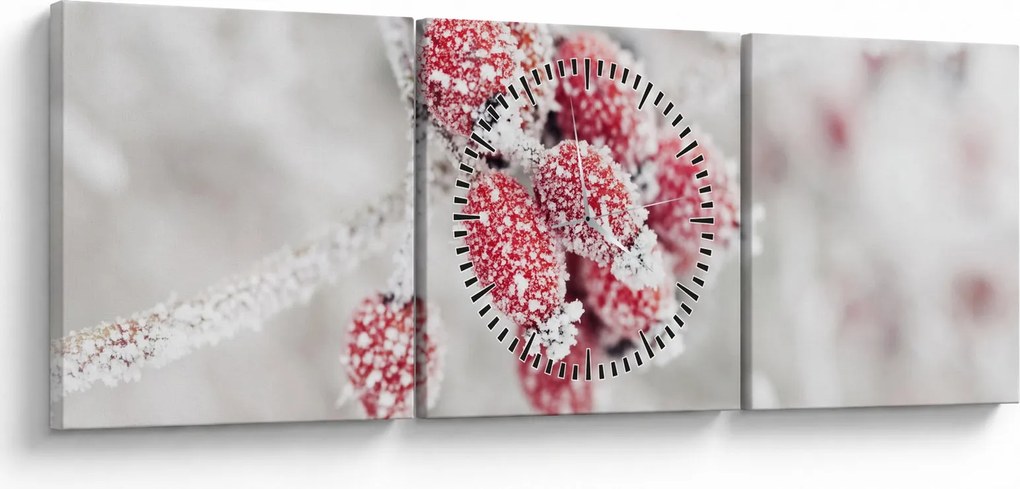 Tablou - Fructe congelate (cu ceas) (90x30 cm)