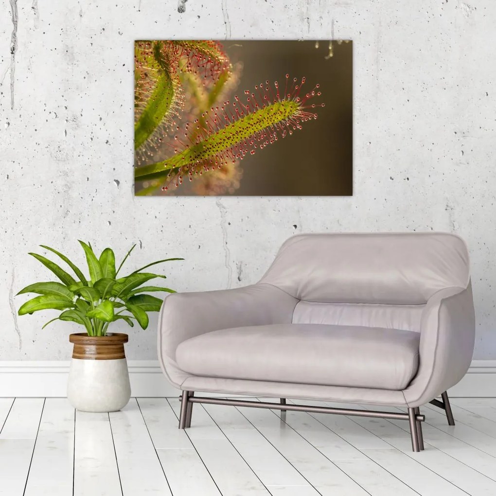 Tablou pe sticlă cu plantă (70x50 cm)