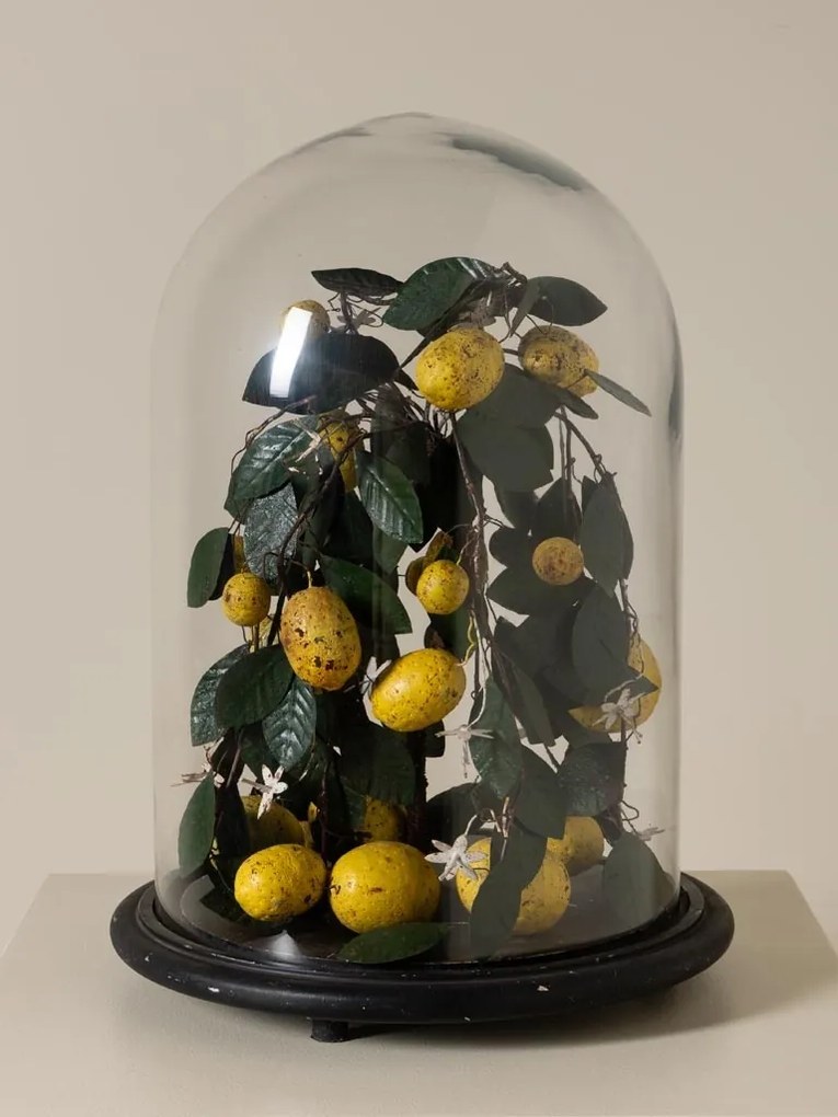 Clopot de sticlă cu lămâi artizanal, „Lemon Precious”
