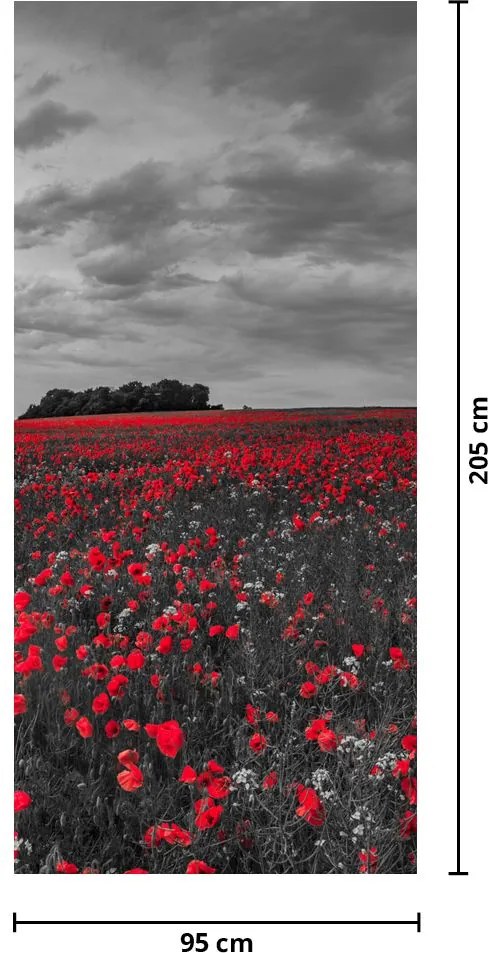 Fototapet pentru ușă - Maci (95x205cm)