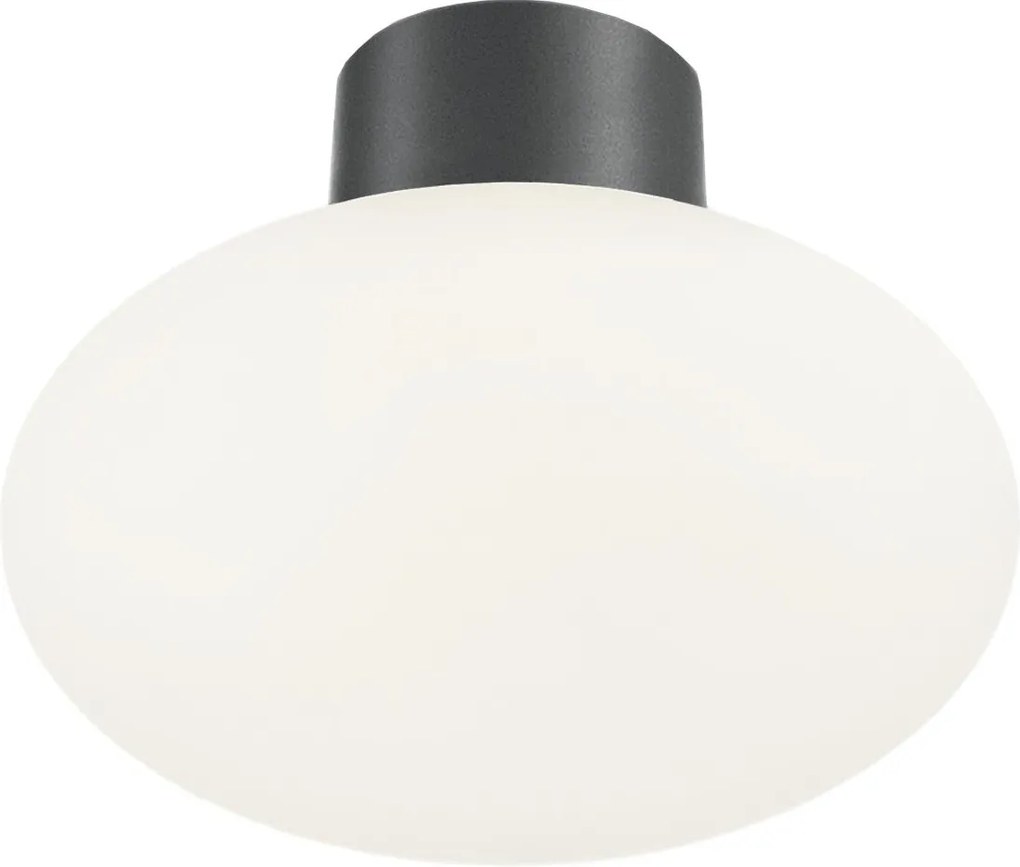 Ideal Lux - Plafonieră de exterior CLIO 1xE27/42W/230V IP44 antracit