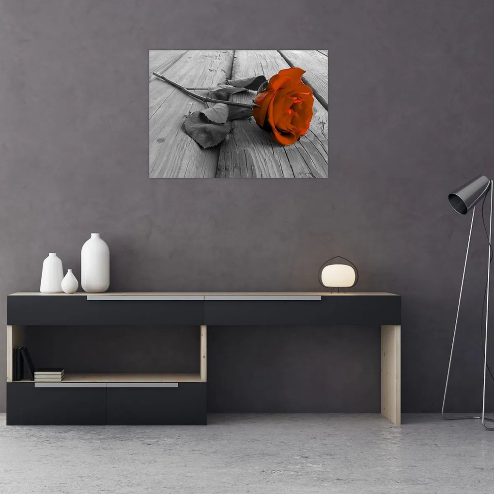 Tablou - Trandafir portocaliu (70x50 cm)