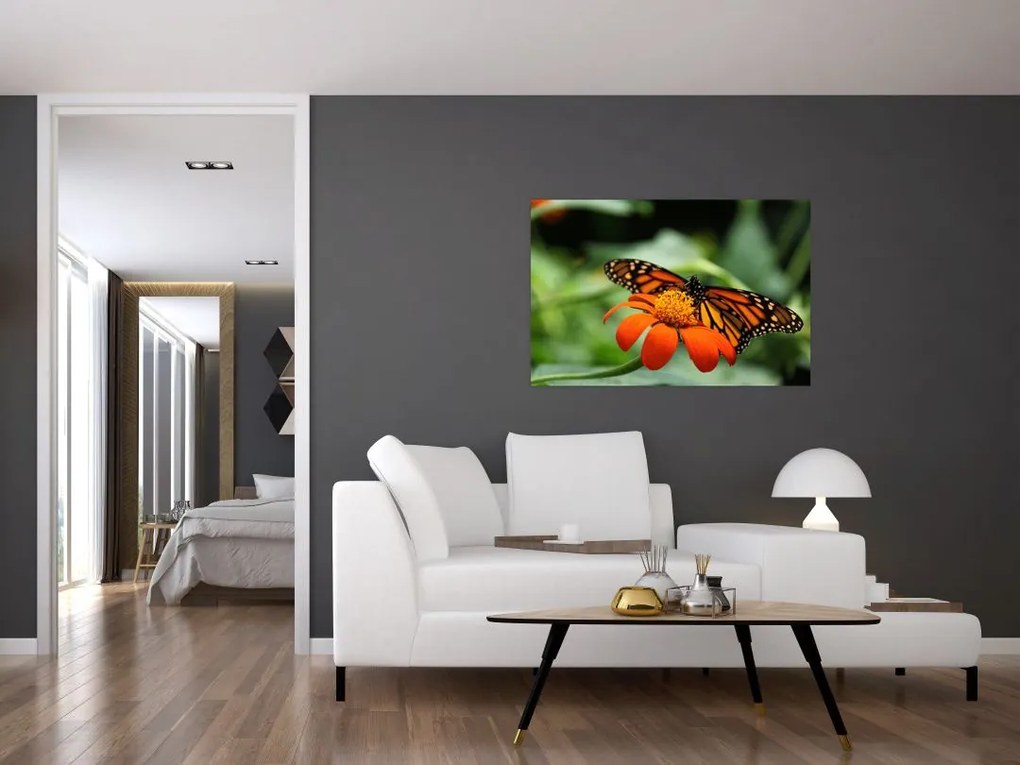 Tablou cu fluture pe floare (90x60 cm)