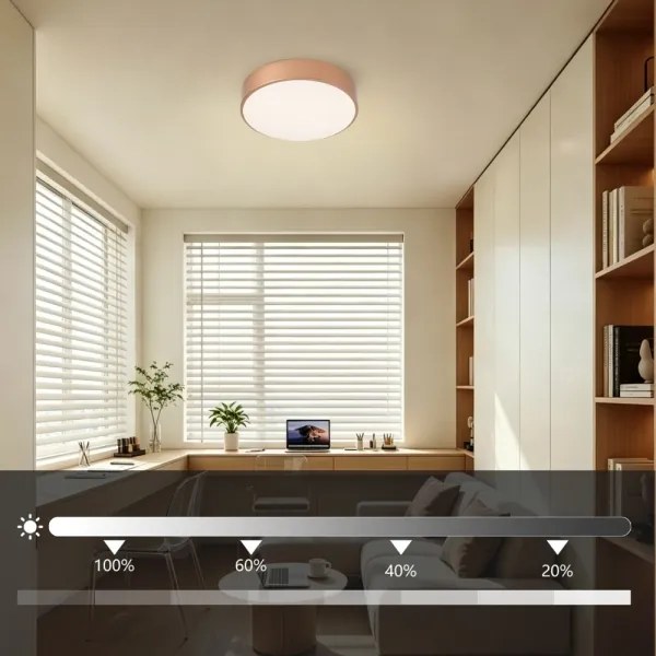Brilagi - Plafonieră LED reglabilă POOL LED/24W/230V Ø 20 cm bronză +telecomandă