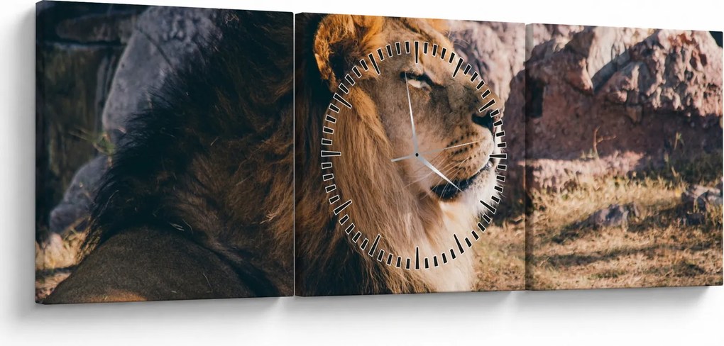 Tablou cu leul dormind (cu ceas) (90x30 cm)