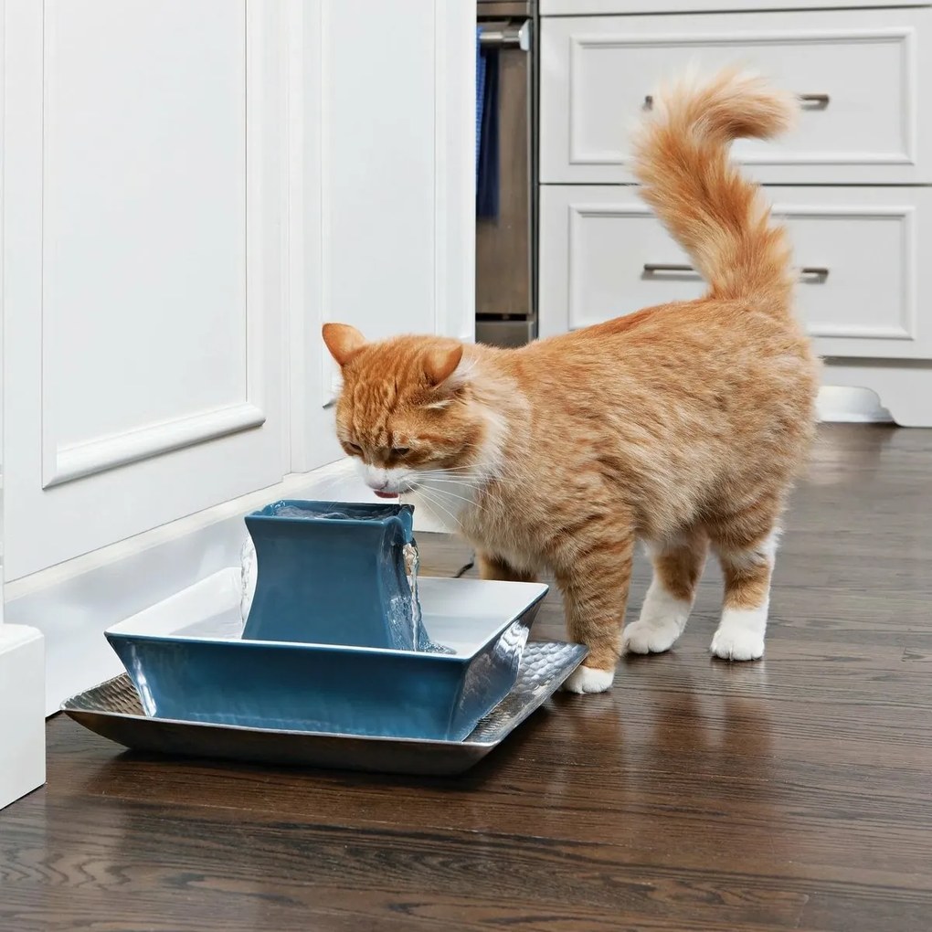 PetSafe® Pagoda Fântână ceramică 2 l albastră