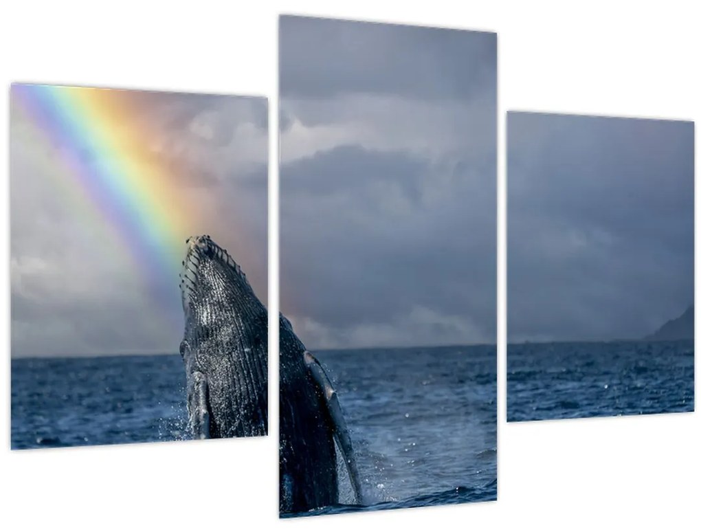 Tablou - Cocoșatul (90x60 cm)