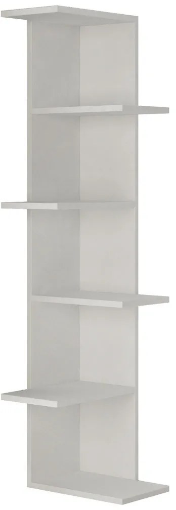 Biblioteca Saso White