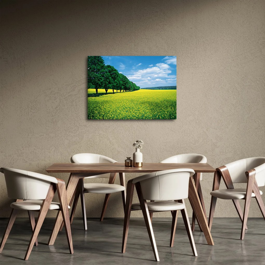 Tablou - Câmp cu alei (70x50 cm)