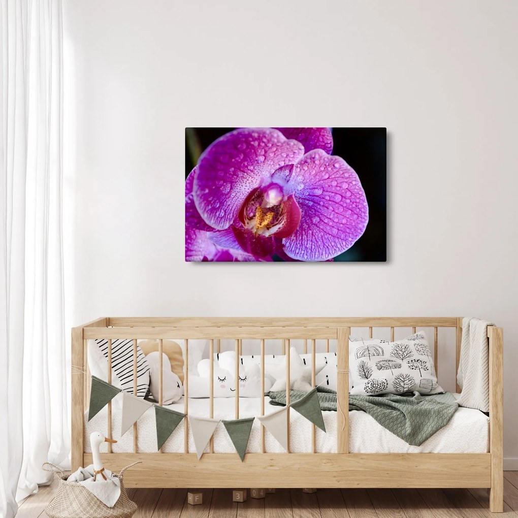 Tablou detailat cu floare de orhidee (90x60 cm)