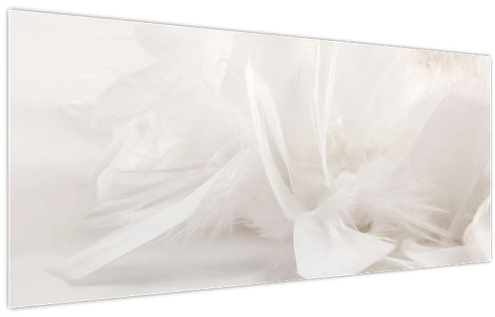 Tablou - Pană (120x50 cm)