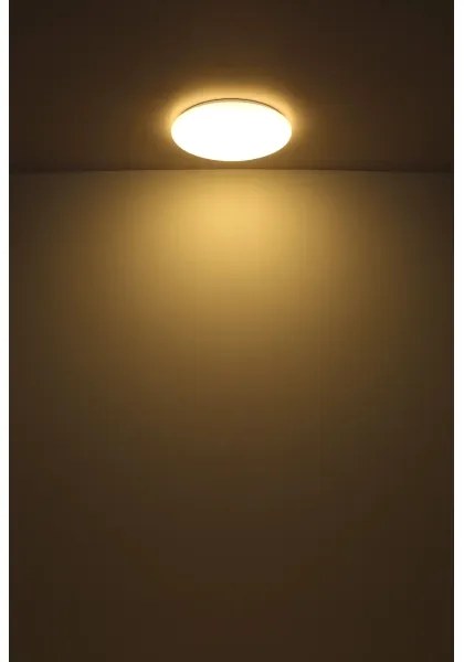 Plafonieră LED Globo 41261-24 ECLYPSE LED/24W/230V