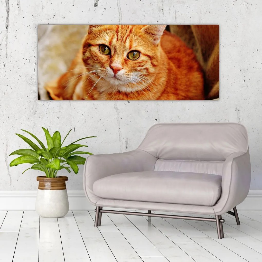 Tablou - Pisica tolenită (120x50 cm)