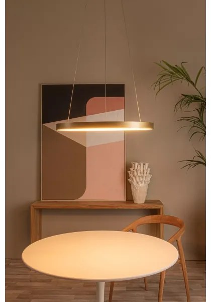 Lustră LED dimabilă pe cablu Lucide 46403/48/02 VIDAL LED/48W/230V