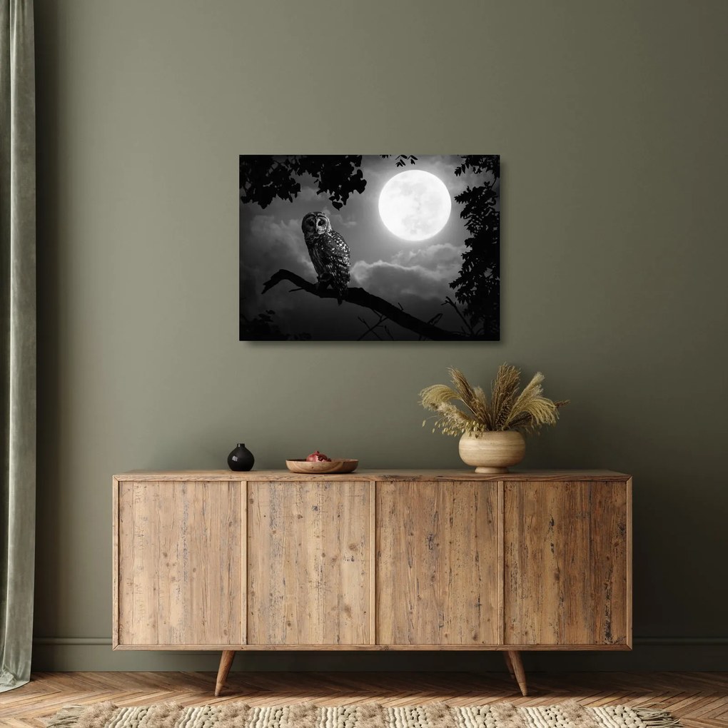 Tablou pe sticlă - Bufniță de noapte, alb și negru (70x50 cm)