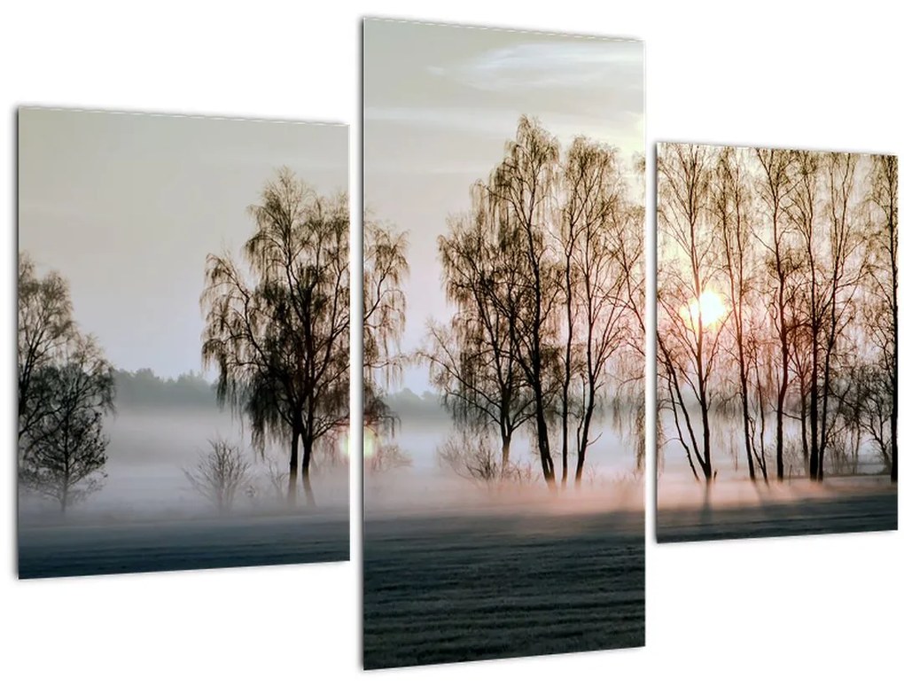 Tablou - Dimineața mohorâtă (90x60 cm)