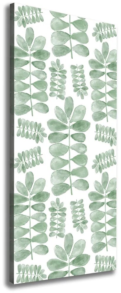 Tablou canvas Frunze de eucalipt