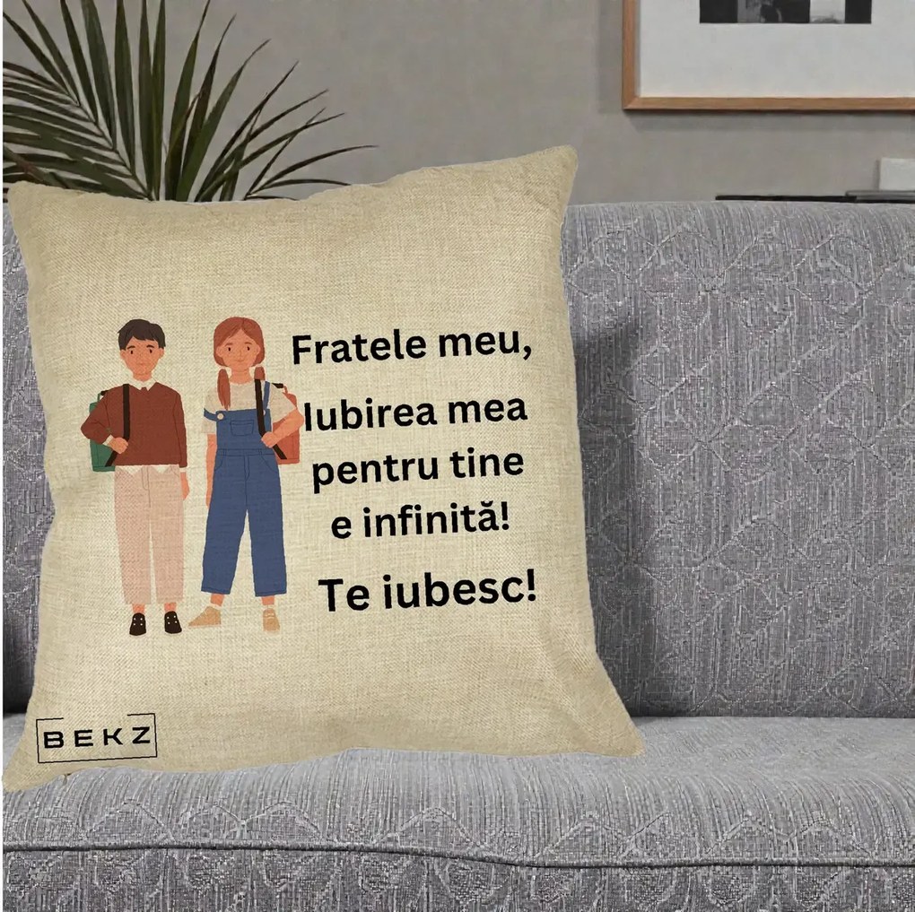 Cadou pentru Frate - Perna Personalizata Fratele Meu Te Iubesc Elevi Ilustratie Colorata, 40x40 cm, Crem, Husa Detasabila, Perna Inclusa, BEKZ®
