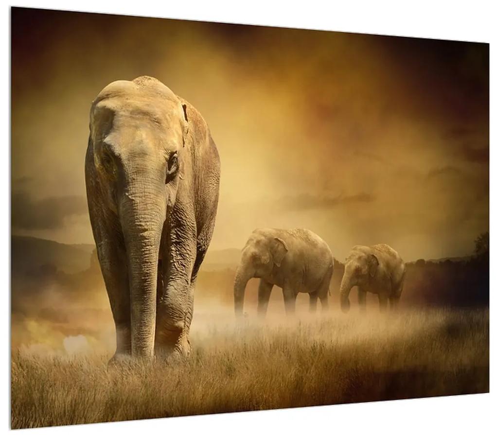 Tablou cu elefant (70x50 cm), în 40 de alte dimensiuni noi