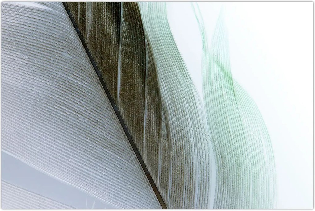 Tablou - Pene, macro (90x60 cm)