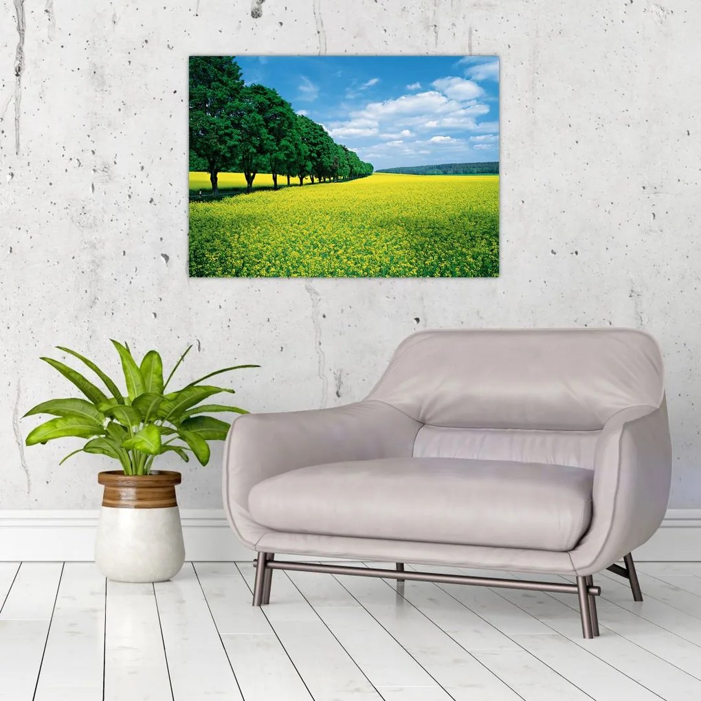 Tablou pe sticlă - Câmp cu alei (70x50 cm)