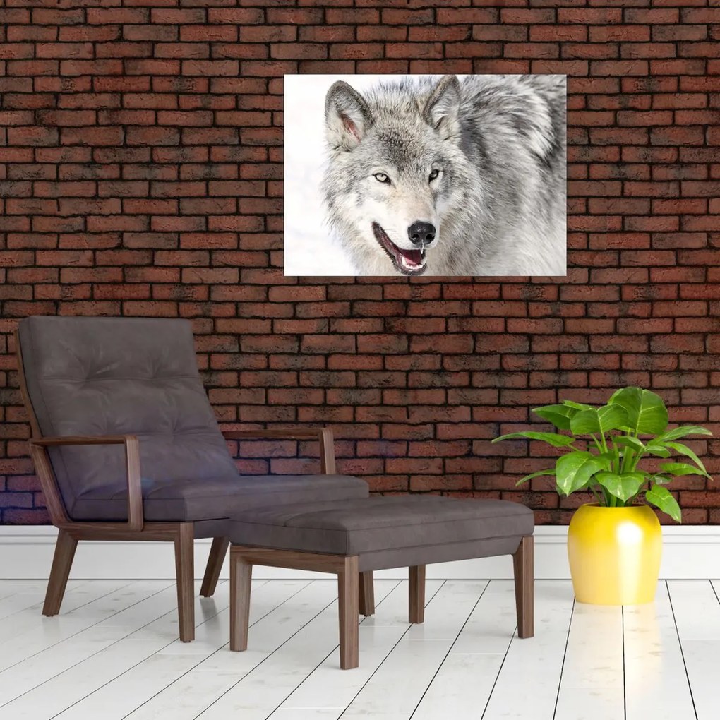 Tablou - Lupul în natură (70x50 cm)