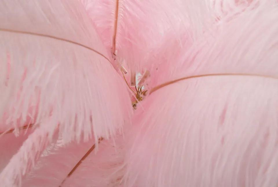 Lampadar roz din metal si plastic, soclu E14, max 40W, Ø 55 cm, Palm Mauro Ferreti
