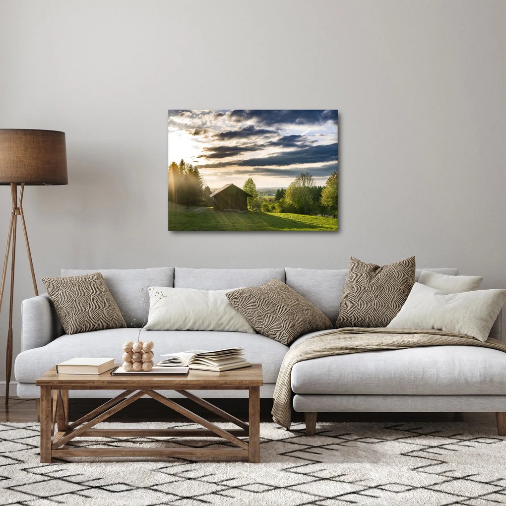 Tablou cu cabana pe luncă (70x50 cm)