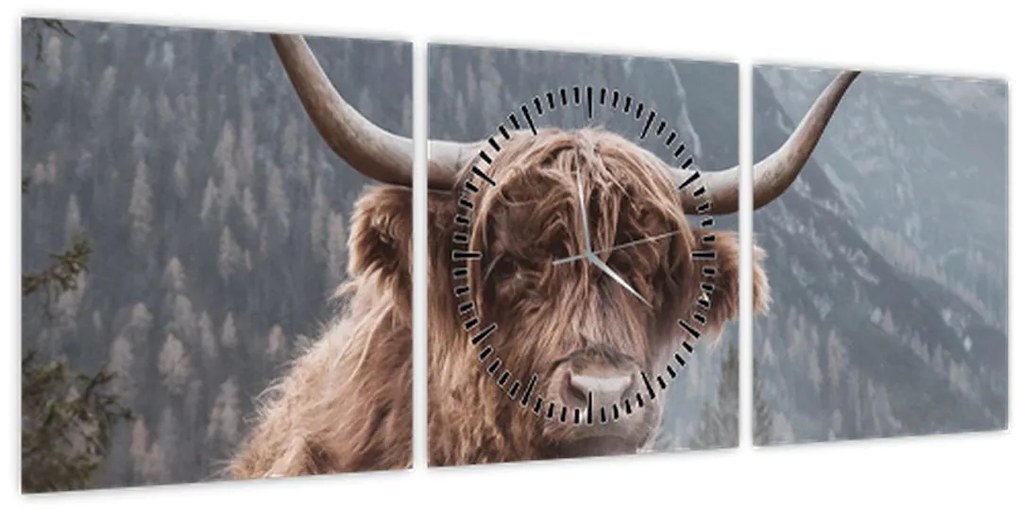 Tablou - Vaca Highlander (cu ceas) (90x30 cm)