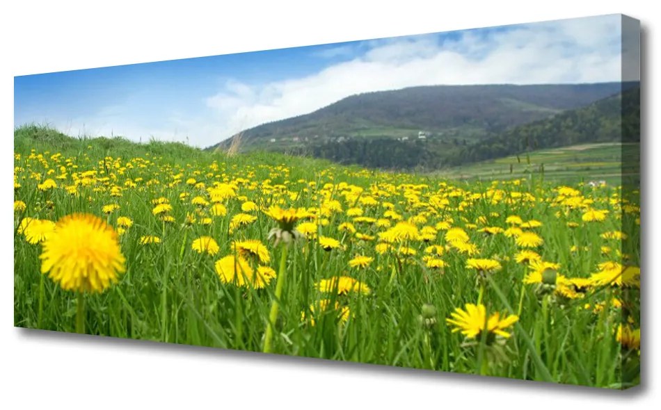 Tablou pe panza canvas Păpădie Câmp Natura Galben Verde Albastru