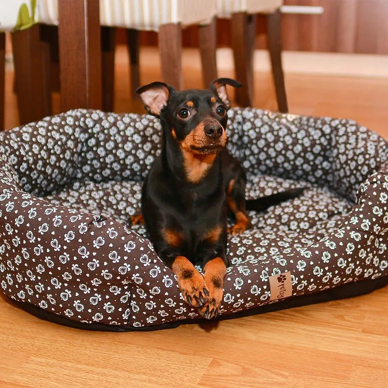 Culcuş pentru câine ALINTURI mărime M - 65 x 50 cm