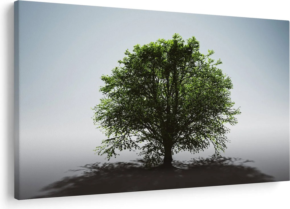 Tablou - Copacul singuratic (90x60 cm)