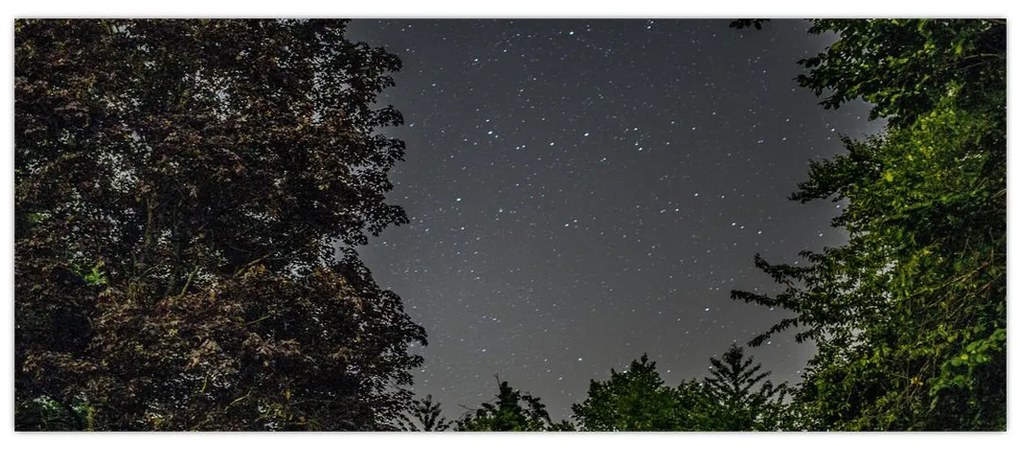 Tablou cu cerul nocturn (120x50 cm)
