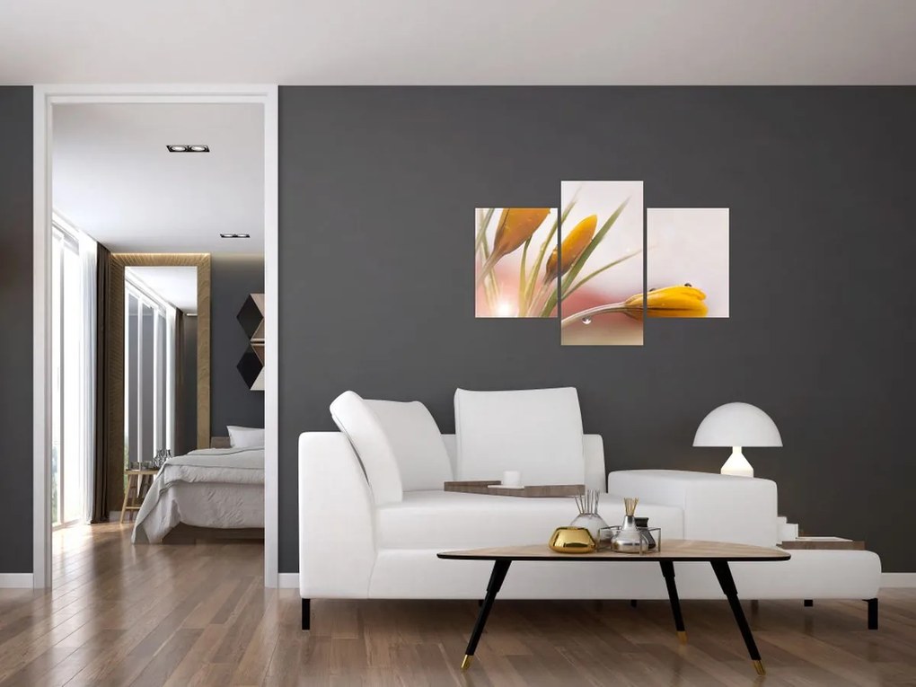 Tablou - Flori de primăvară (90x60 cm)