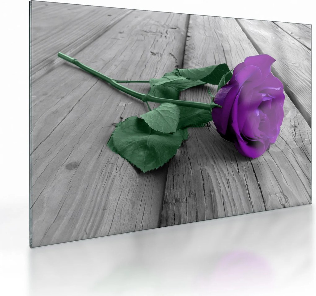 Tablou pe sticlă - Trandafir violet cu tulpina verde (70x50 cm)