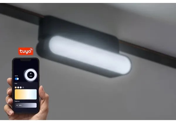 Plafonieră LED dimabilă pentru sistem de șină monofazic Rabalux 70127 LiTrack 4W/24V 11,5 cm