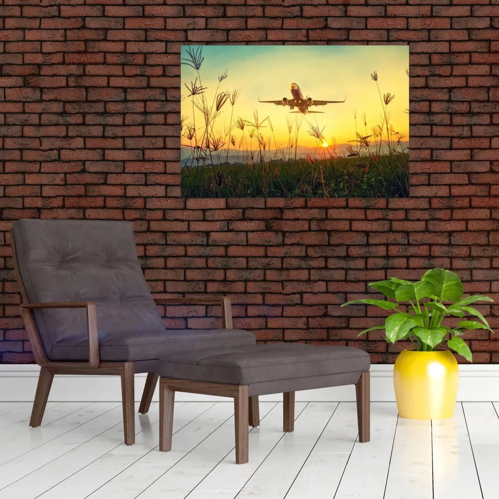 Tablou cu avion zburând (90x60 cm)
