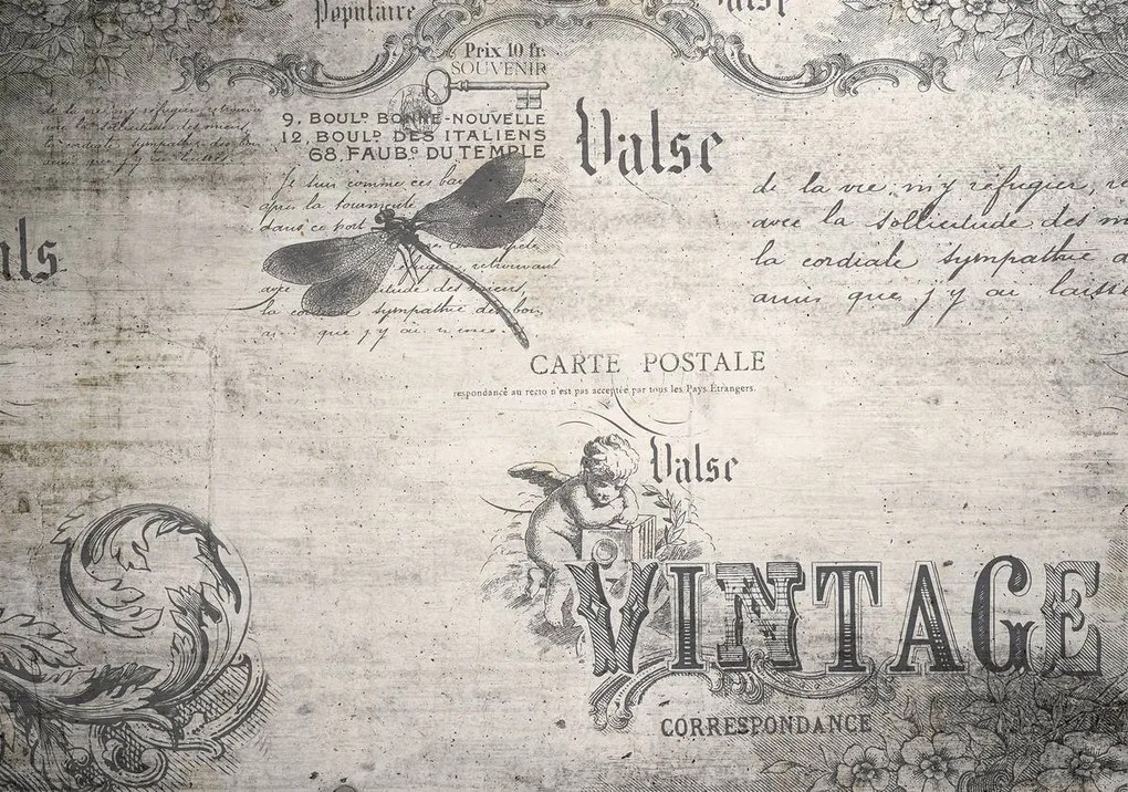 Fototapet - Vintage (254x184 cm)