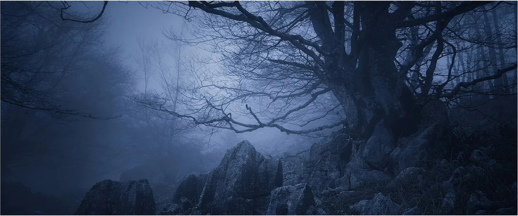 Tabloul pădurii întunecate (120x50 cm)
