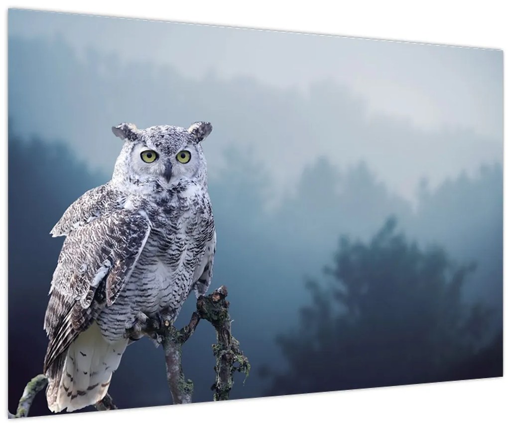 Tablou - Bufniță de zăpadă (90x60 cm)