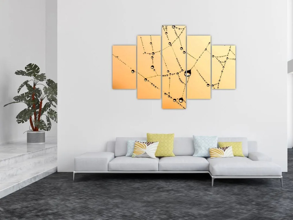 Tablou cu pânză de pâianjen cu rouă (150x105 cm)