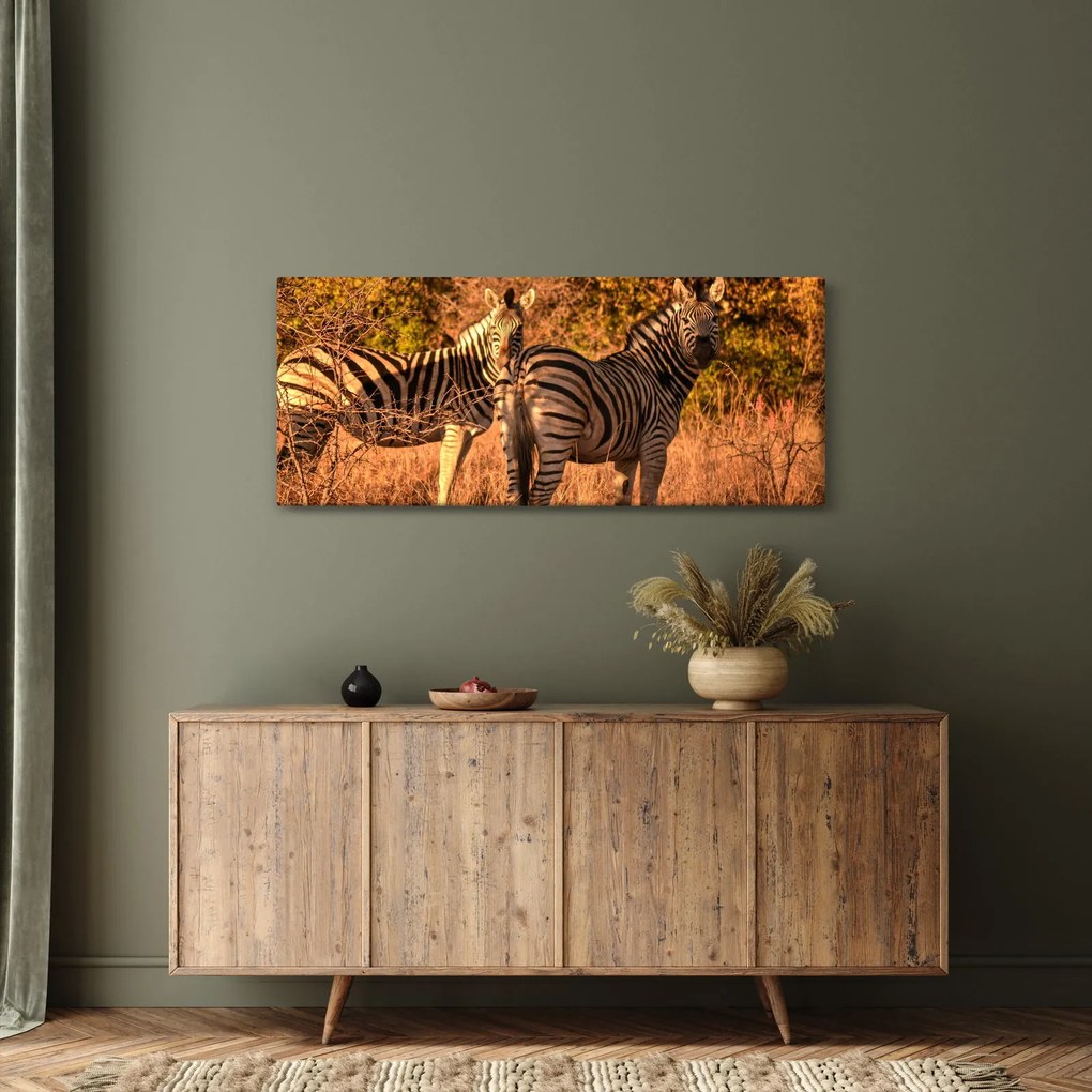 Tablou cu zebre (120x50 cm)