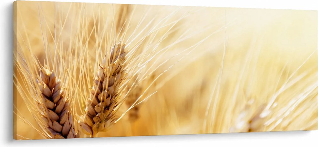 Tablou- detaliu cu (120x50 cm)