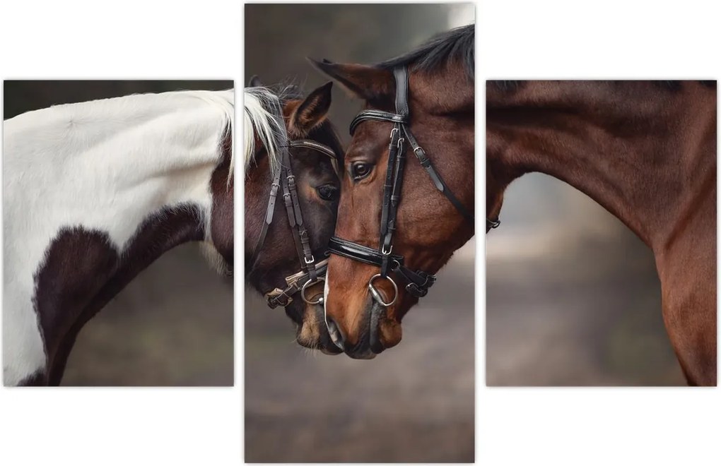 Tablou - Cai îndrăgostiți (90x60 cm)
