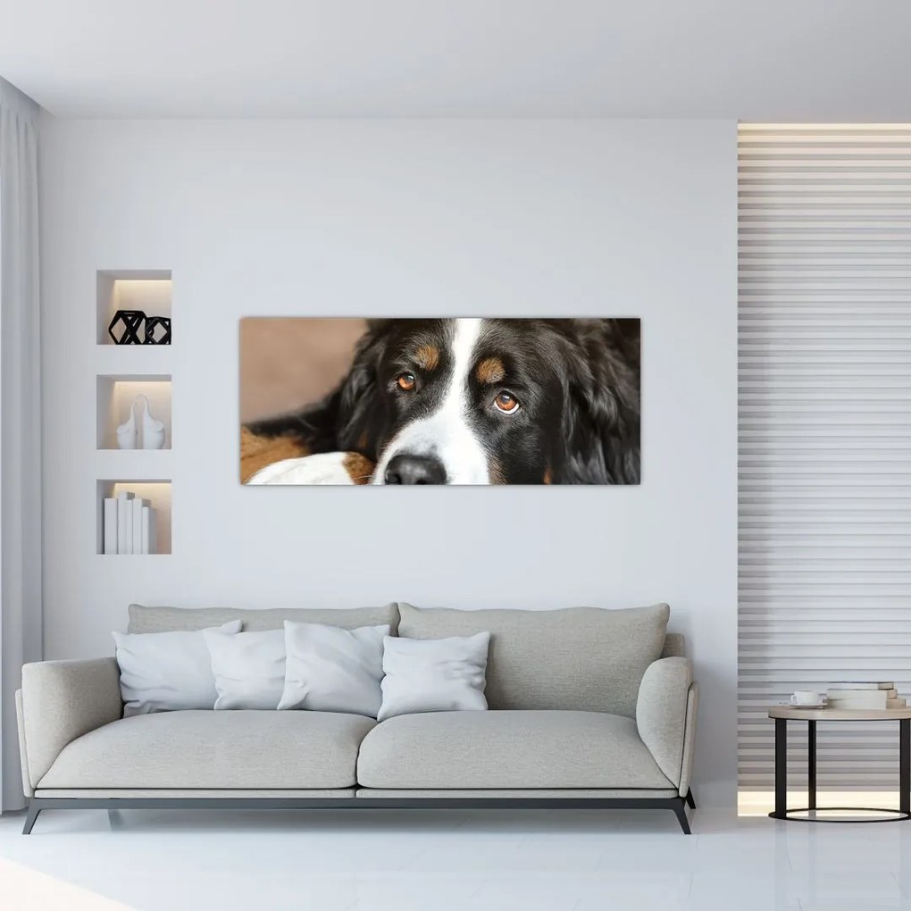 Tablou cu câine (120x50 cm)