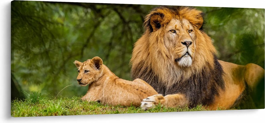 Tablou cu lei (120x50 cm)