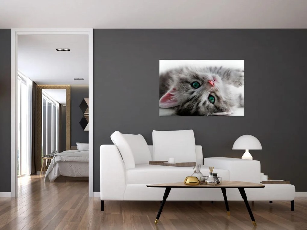 Tablou - Pisica cu ochi verzi (90x60 cm)